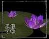 sb indigo water lillies