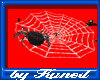 *K*Spider Web
