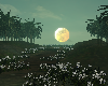 Blooming Horizon