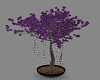 Purple rose tree