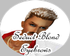 Blond seduct eyebrows M