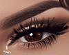 Sexy Lashes