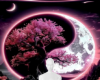 Yin yang bg