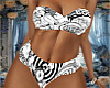 BBW Swim Wear 2025