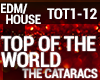 The Cataracs -Top of The