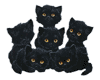 black kitty's