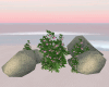 Rocks Flowers Beach
