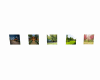 10 paisajes pa fotos sp