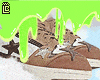 skate shoes