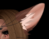 levi | ears