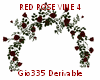 [Gi]RED ROSE VINE 4