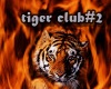 Tiger Club#2