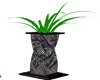 BeetleJuice Plant