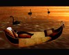 Canoe relax