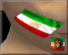 ! Flag Paint IRAN F