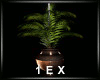 1EX SDS Plant