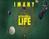 imany-wonderful-life