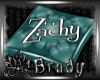 [B] Zachy's Pillow