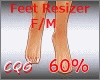 CG: Foot Scaler 60% F/M