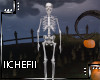 Halloween Skeleton Anim