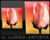 XIV Sunset Rose Art 1:1