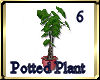 [my]Potted Plant 6
