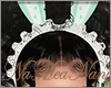 Mint Bunny Ears