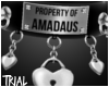 T◘ Property Of Amadaus