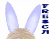 BLUE BUNNY EARS