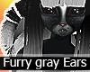 Gray furry Ears