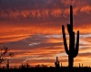 {FE}Tucson Sunset Loft