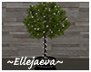 Casa Tall Plant Lights