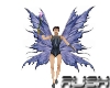 {IW} Male Fairy Grey