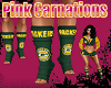 Green Bay Socks