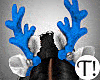 T! Santa Baby Blue Bdle