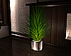 Rondo Potted Plant
