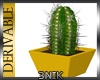 3N: DRV. Cactus Plant