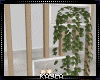 Shelf  Partition Plant