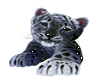 sticker trigre