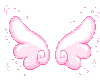 pink wings