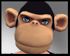 Geo. Monkey Head