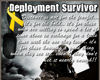 Deployment Survivor