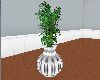 Big Potted Plant