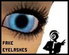 fake eyelashes