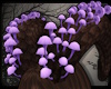 +Mushroom Horns v5