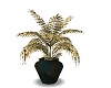 teal elegance plant