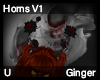 Ginger Horns V1