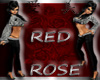 (TP)~Red Rose~