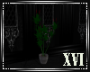 XVI | TGL Potted Plant