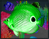 Green Fish